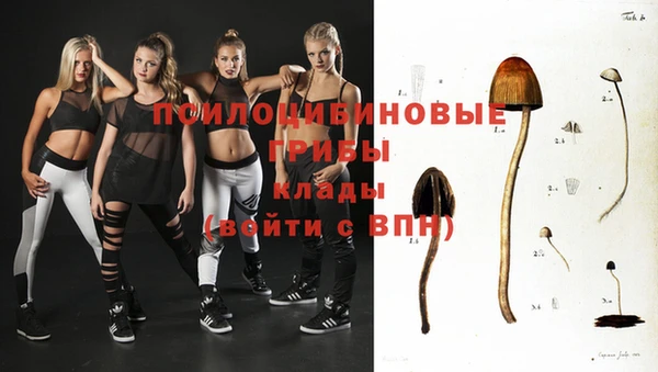марки nbome Заводоуковск