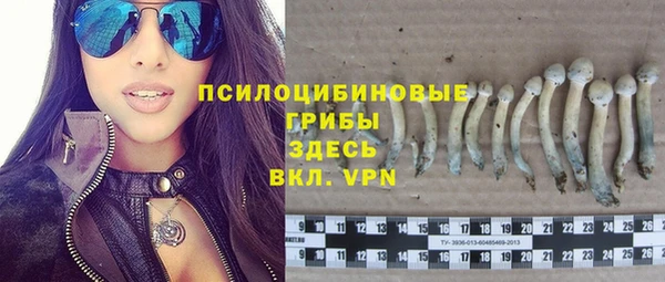 марки nbome Заводоуковск